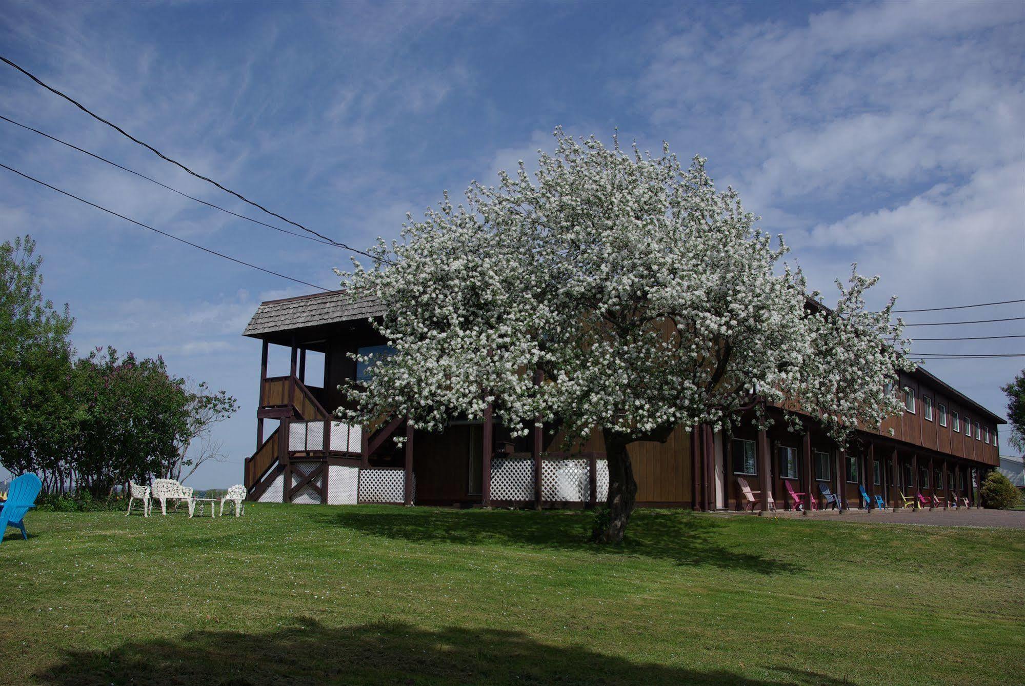 Tidal Bore Inn Truro Esterno foto